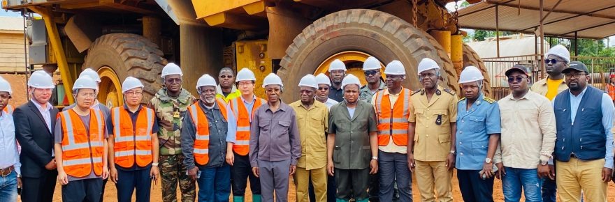 Top 5 Minerals Exported by Cameroon and How to Get Involved Legally