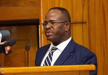How the Ministry of Mines Supports Foreign Investment Across All Mineral Sectors in Cameroon