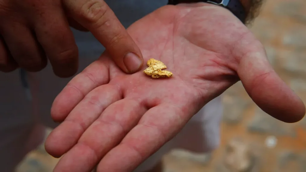 Exporting Gold or Diamonds from Cameroon: Which License Do You Need?