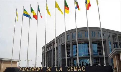 How to Apply for a CEMAC Buyer’s Permit in Cameroon: A Step-by-Step Guide
