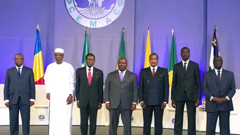 How to Spot Fake CEMAC Buyer’s Permits: Official Tips from the Ministry