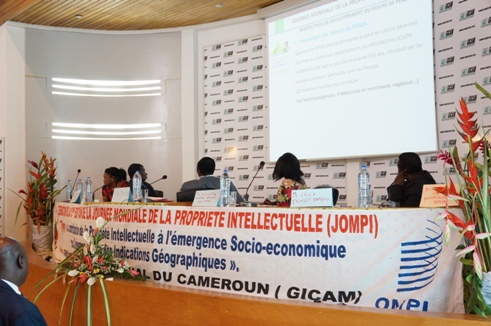 Cameroon’s Mining Sector Performance Report 2024 & Key Projects to Watch in 2025