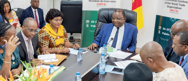 Learn why you must only work with MINMIDT-registered sellers Cameroon. Avoid scams, verify gold suppliers, and secure your CEMAC buyer’s permit for safe, legal gold export in 2026.