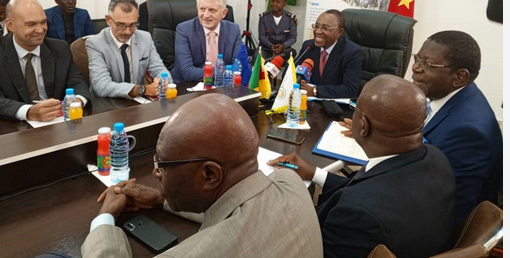 Discover the official list of licensed gold sellers in Cameroon (2026). Learn how to verify suppliers, avoid scams, and legally buy gold with CEMAC permits.